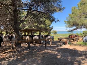 Havre de paix proche de la plage classé 2 étoiles