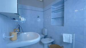 Papavero Piazza Delfino