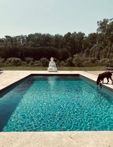 Chateau et piscine privé près du Chateau de Chambord