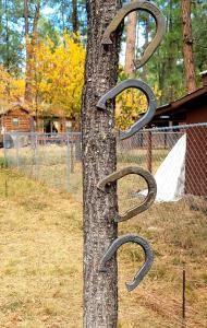 Cowboys Trail with HotTub, King&QueenBed, in UpperCanyon, Pets welcome