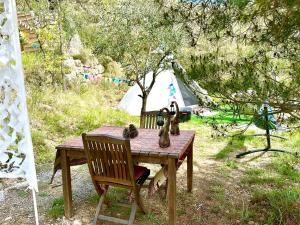 Tipi sous les étoiles option et service sur place petit déjeuner et dîner
