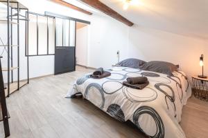 Le Albert 1er appartements tout equipes au coeur de Beziers : photos des chambres