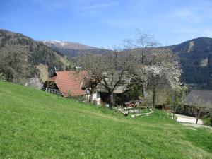 Ferienwohnungen am Berghof