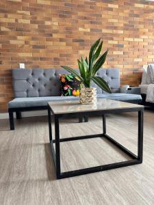 Iluminación, ventilación ubicación estratégica gym wifi