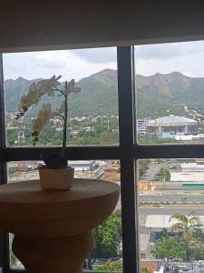 Excelente para descansar o trabajar remoto