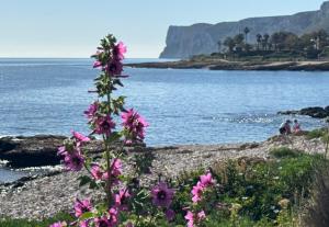 Apartamento Port Dénia