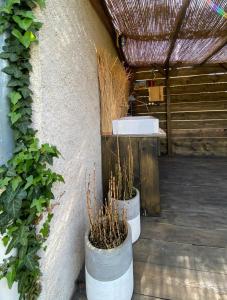 Appartements Gite et Studios Les Barongeres : photos des chambres
