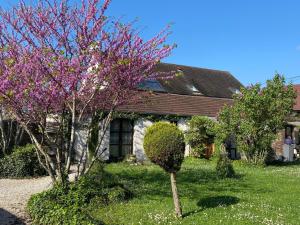 Appartements Gite et Studios Les Barongeres : photos des chambres