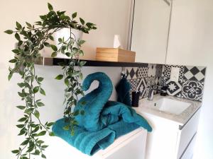 Appartements Dod-s location : photos des chambres
