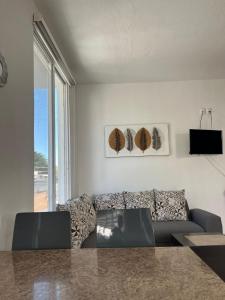 Depa en chapala centro