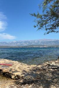 Apartments with a parking space Novigrad - 12572