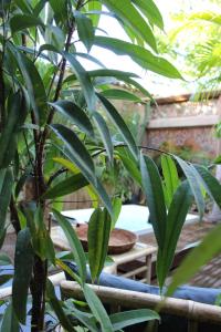 Il Giardino di Chiara img45