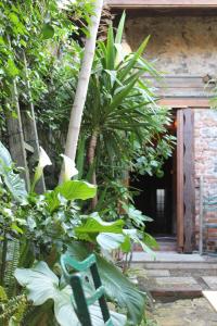 Il Giardino di Chiara img61