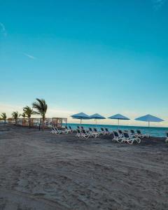 Apartamentos con vista a la Piscina y a pasos de la Playa
