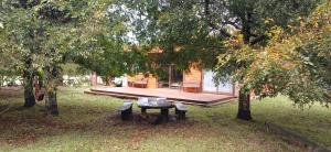 Maravilloso Refugio en Pucón