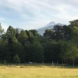 Maravilloso Refugio en Pucón