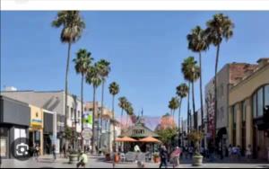 Walk to Santa Monica Beach, Pier, Boardwalk and Venice