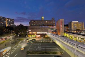 Minamisenri Crystal Hotel