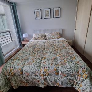 Departamento Vicuña 3