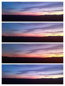 Podere 660 appartamento il Giuggiolo