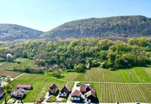 Villa BEST VIEW near Colmar- FREE PARK & WIFI