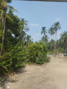 Thrikarthika appartments