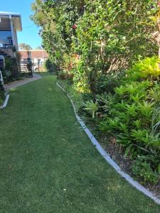 Bribie Island Dreams