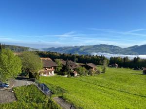 Ferienwohnung Pfrundmatte mit Panoramablick