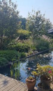 Vakantiewoning in monumentale boerderij met yurt