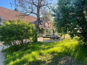 Maisons de vacances Charmant gite arbore : photos des chambres