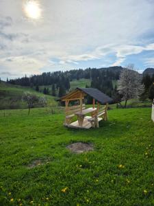 Vila Muntelui Colibita