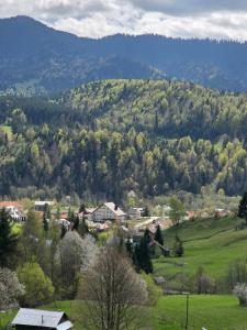 Vila Muntelui Colibita