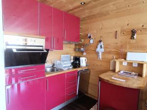 Appartements Residence Loubatiere - Superbe appartement type chalet 4 a 6 personnes proches des pistes MAE-8364 : photos des chambres