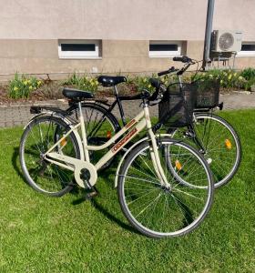 Bürgermeister Apartment with free bicycles