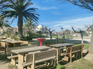 Appartement T2 avec balcon vue port et accès piscine - FR-1-195-116