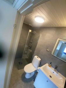 Nice Entire Semi - Attached House