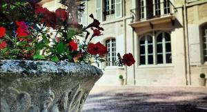 Château du Mesnil Soleil , domaine de charme et chambres dhôtes