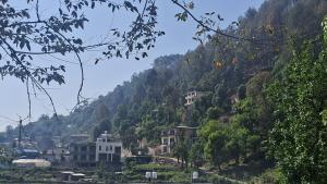 Nakshville homestay