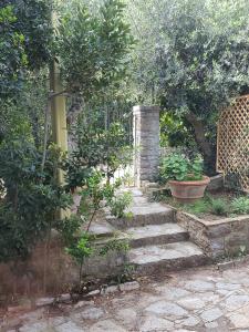 Casa degli ulivi