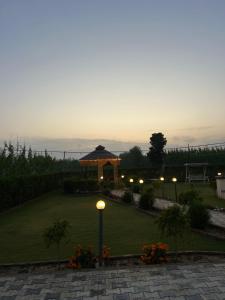 Dhawanfarms