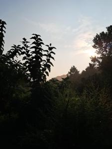 Studio Arambol Hideaway R4 by Mukund Sadan Arambol