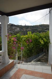 La Villa di Zazopetra