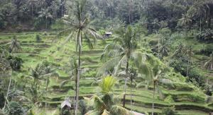 Sari Gong Guest House, A Trishula Collection