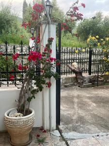 Gaia house - base for exploring