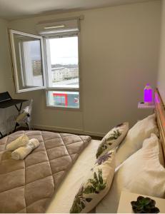Appartements Le rivage du petit serein Vannes : photos des chambres