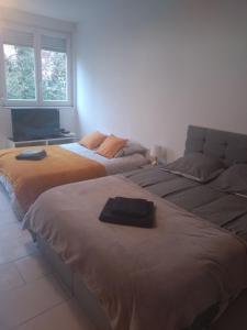 Appartements Metz Muse Studio 4 couchages : Appartement 1 Chambre
