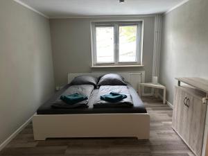 Ruhige Wohnung im Haus am See