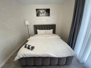 Gray Нова стильна квартира