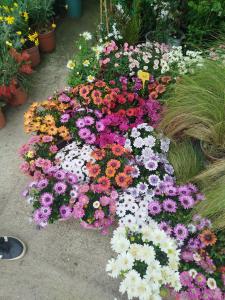 Κτήμα ΓΟΥΡΔΟΎΠΗ Georgιο