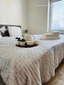 Apartmány Komenského Velké Losiny